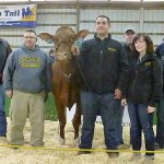 Delaware Valley University dairy sale averages $2,063 top Holstein at sale
