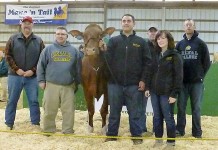 Delaware Valley University dairy sale averages $2,063 top Holstein at sale