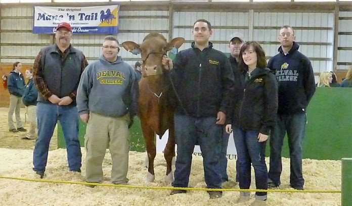 Delaware Valley Top Seller top Holstein at sale