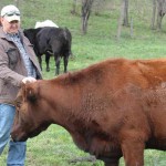 Conservation and cattle: Pete Conkle knows them both Pete Conkle