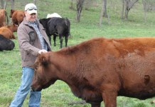 Conservation and cattle: Pete Conkle knows them both Pete Conkle