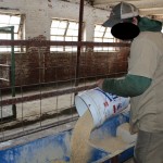 Prison inmate pouring