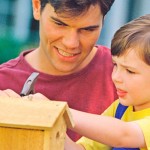 Building nest boxes for backyard birds birdhouse