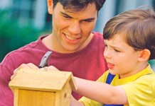 Building nest boxes for backyard birds birdhouse