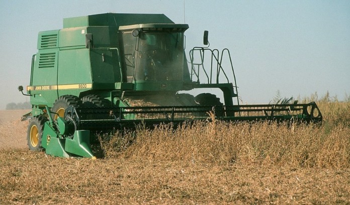 combining soybeans combining soybeans