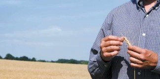 Farm estate and business planning guide now available farmer in wheat field