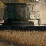 Grain market higher and experts struggling to explain harvesting soybeans