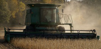 Grain market higher and experts struggling to explain harvesting soybeans