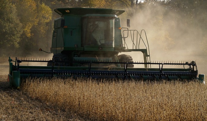 harvesting soybeans