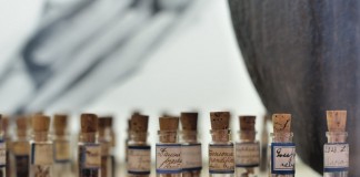 Pa. seed libraries allowed to hold seed exchanges seeds in vials