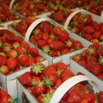 OEFFA releases food safety planning guide strawberries