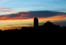 Happiness is what you make of life sunrise over farm