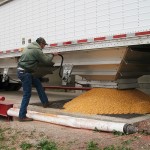 truck unloading corn