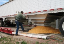 Will grain prices rebound after Presidents Day holiday? truck unloading corn