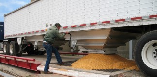 truck unloading corn