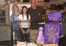 Pennsylvania lifts ban on live poultry shows Butler Farm Show grand champion chickens 2014