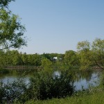 CRP restored wetland in Ohio