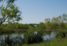 Extra funding available for Ohio landowners to protect wetlands CRP restored wetland in Ohio