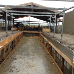 Ohio’s prison farm closure more costly than first thought Prison farm dairy parlor