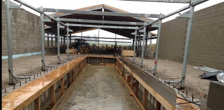 Prison farm dairy parlor