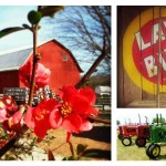 How to talk about farming with non-farmers Dickie Bird Farm collage