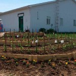 Community gardens develop a sense of pride in gardeners Harrison County SWCD garden