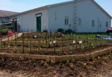 Community gardens develop a sense of pride in gardeners Harrison County SWCD garden