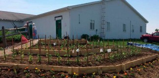 Harrison County SWCD garden