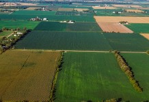 Preserving land for a future generation aerial farmland