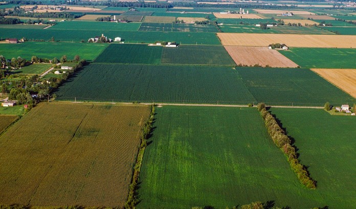 aerial farmland aerial farmland