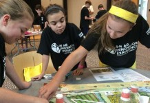 Bees create buzz with annual 4-H challenge bee bots at 4-H Challenge