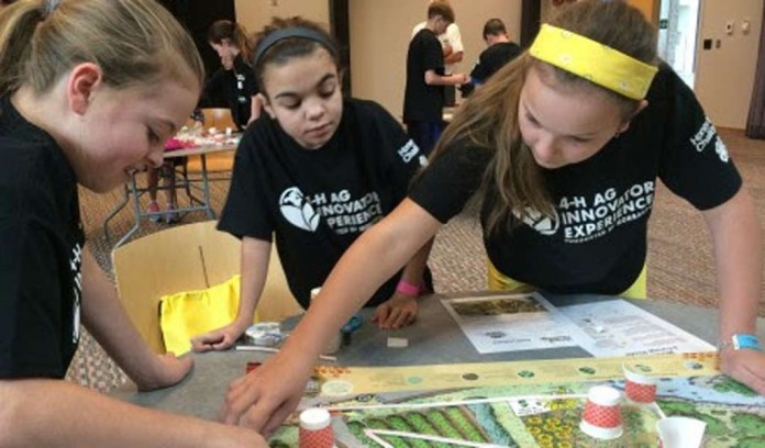 bee bots at 4-H Challenge bee bots at 4-H Challenge
