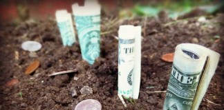 Grants for farmers dollar bills and coins in soil