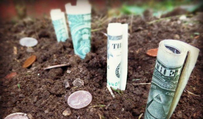 dollar bills and coins in soil dollar bills and coins in soil