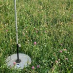 Will your frost seeding improve your pastures this year? Rising plate meter that measures pasture growth