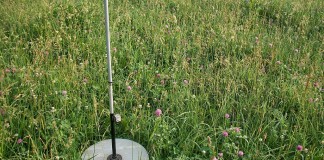 Rising plate meter that measures pasture growth
