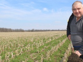Mimicking nature: Cover crop guru Dave Brandt was an early adapter Cover crops and earth.