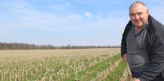 Cover crops and earth.