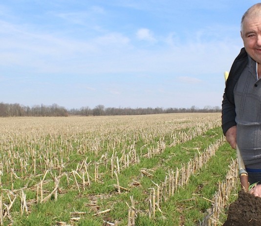 Mimicking nature: Cover crop guru Dave Brandt was an early adapter Cover crops and earth.