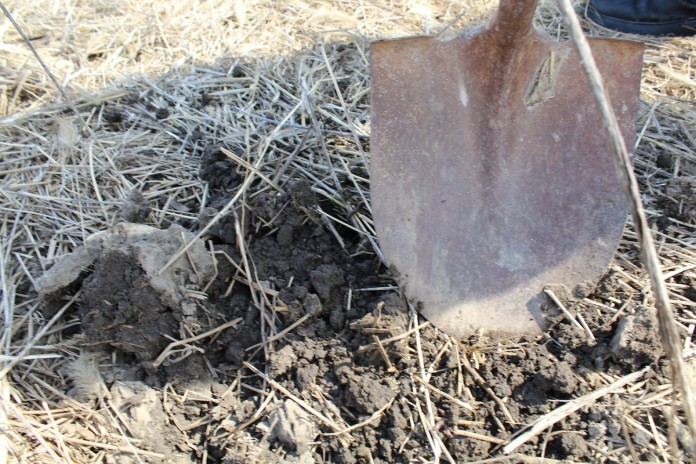 shovel to ground