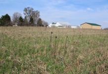 Overcoming cover crop obstacles takes attention Mixed cover crops
