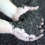 Bull Country compost