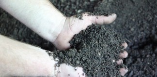 Bull Country compost