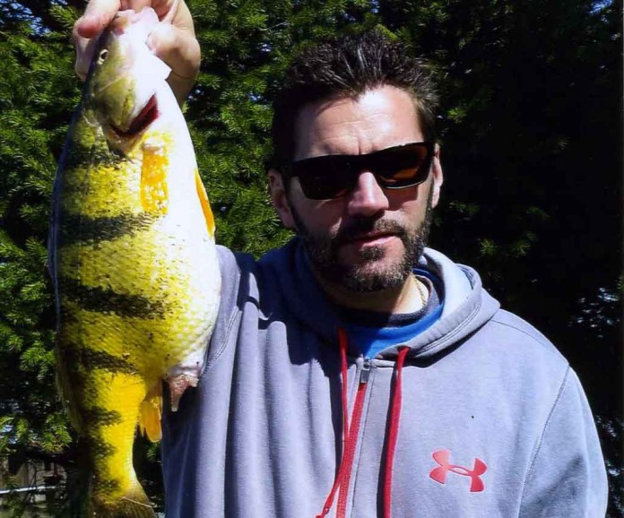 David Berg David Berg