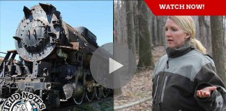 Field Notes collage for June 2, 2016