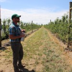 Ben Gammie explains trellis system