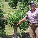 Grafting at Quarry Hill Orchards