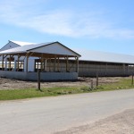 Pfeifer Dairy calf barn
