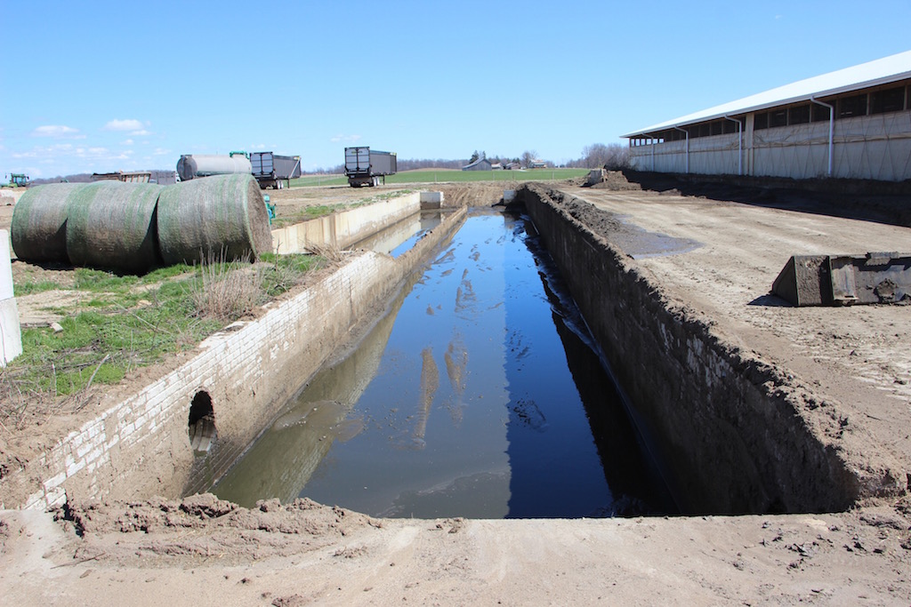 Pfeifer Dairy Family