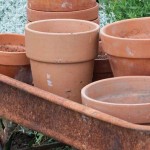 clay pots